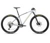 Orbea ALMA M20 S Halo Silver (Gloss) - Shark Grey (Matt)