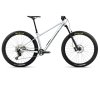 Orbea LAUFEY H10 S Smooth Silver (Matt) - Titanium (Gloss)